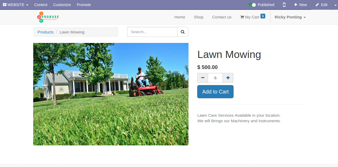 Odoo CMS- Sample image floating